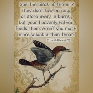 God feeds the birds everyday! Do you think he will let you starve